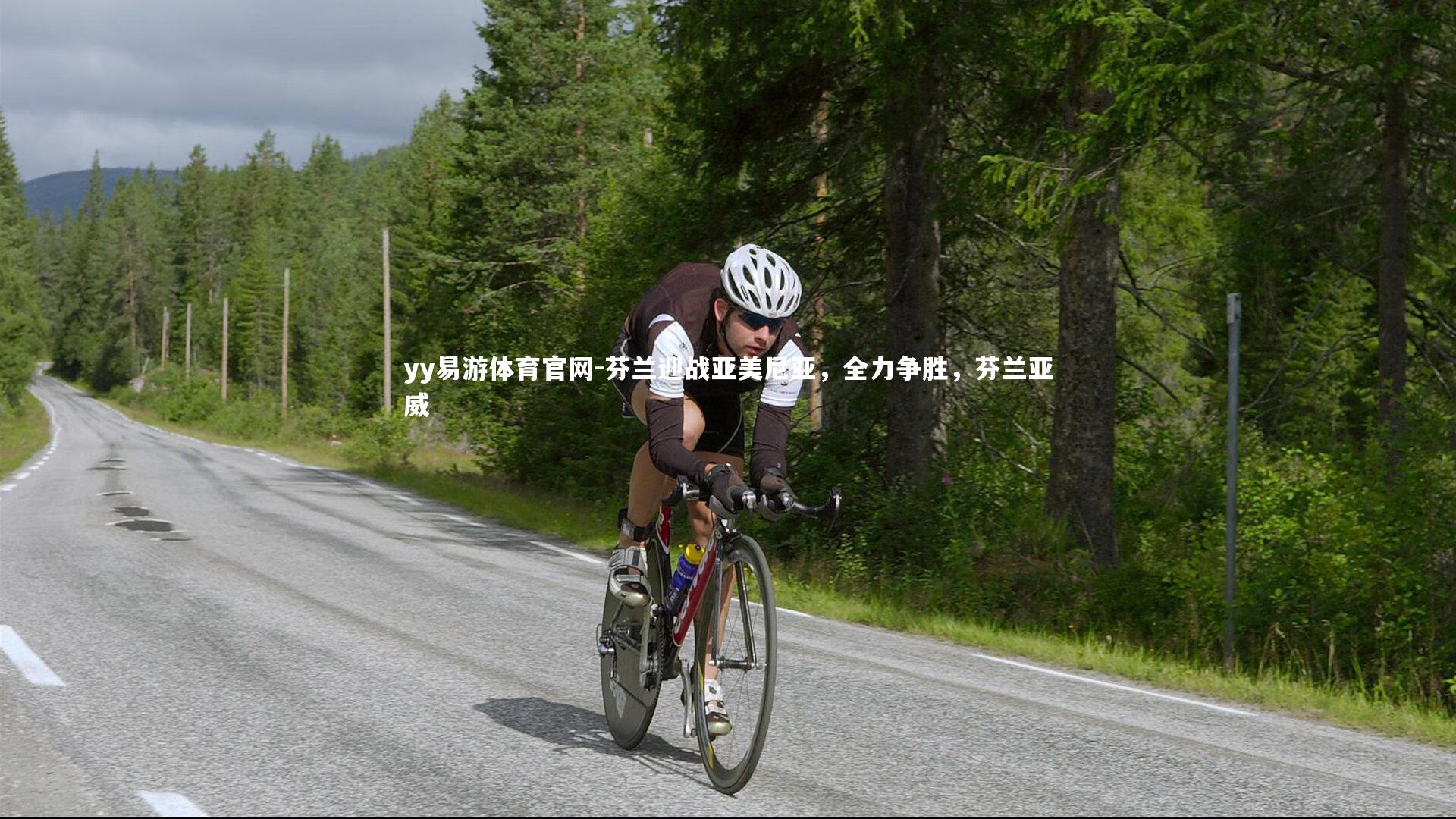 芬兰迎战亚美尼亚,全力争胜,芬兰亚威