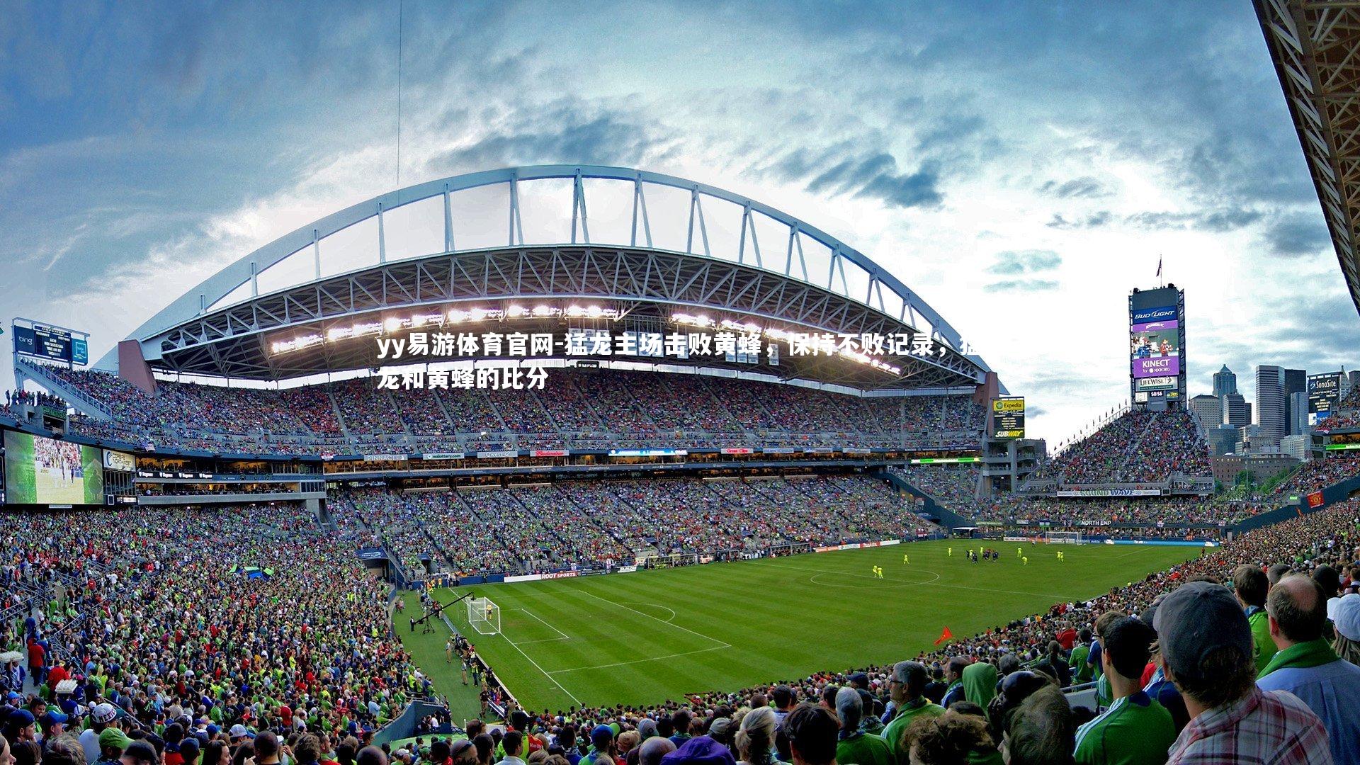 yy易游体育官网-猛龙主场击败黄蜂，保持不败记录，猛龙和黄蜂的比分
